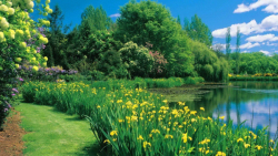 Management Of Affections - Why...