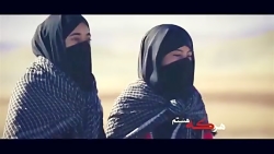 مداحی حاج محمود کریمی :: شاه پناهم بده، خسته راه آمدم