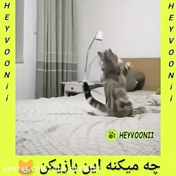 کلیپ طنز جدید حیوانات