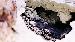 فیلم کوتاه(مزن بر سرِ ناتوان د...