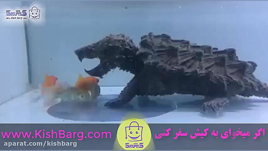 پوستر بزرگ