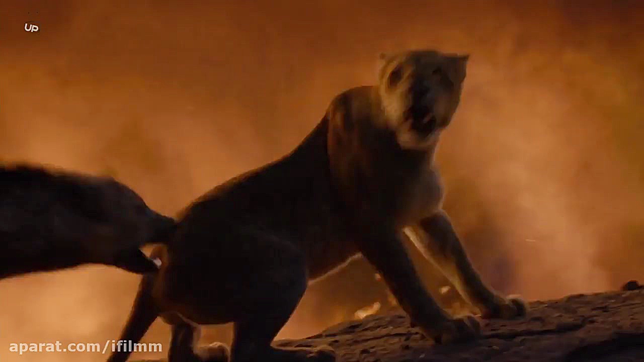 فیلم The Lion King 2019 شیر شاه  2    انیمیشن جدید زمان7095ثانیه