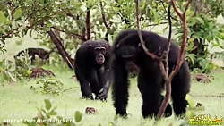 مستند داستان زندگی  دوبله فارس...