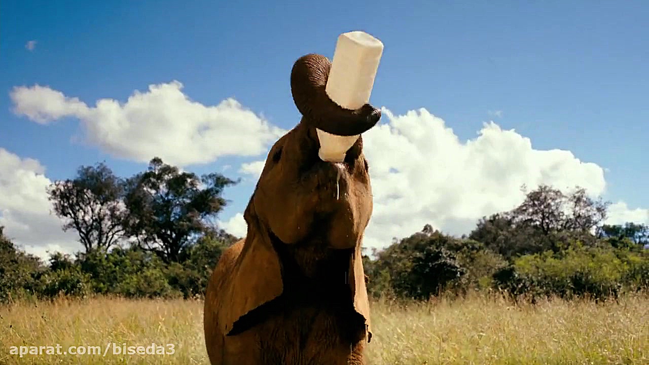 مستند Born to Be Wild 2011 زمان2449ثانیه