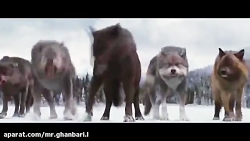 میکس زیبای از فیلم گرگ و میش