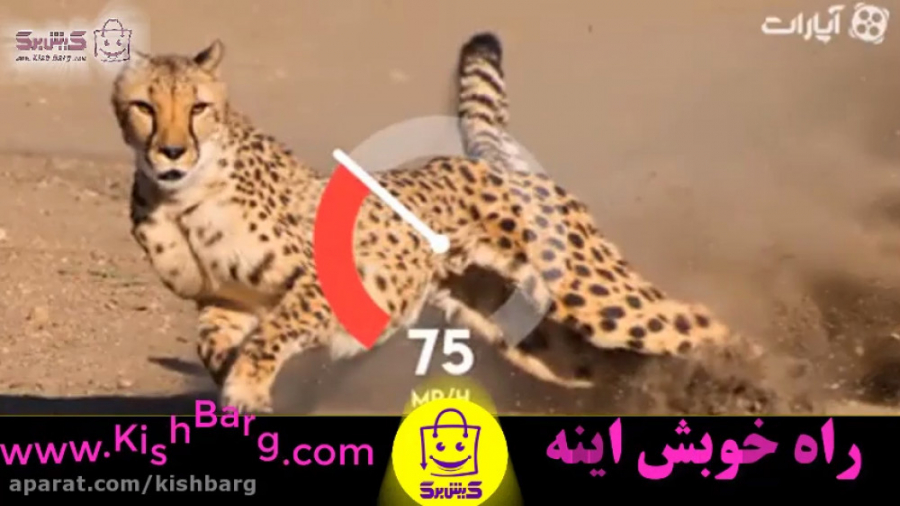 پوستر بزرگ