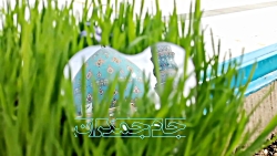 کلیپ تبریک نیمه شعبان