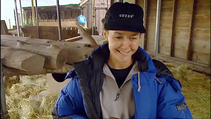 دنیای حیوانات - نجات خرس های سیاه توسط آماندا - Black Bear Rescue with Amanda زمان223ثانیه