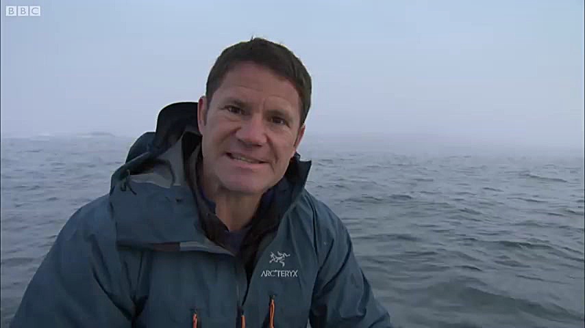 دنیای حیوانات - حمله کوسه سفید غول پیکر - Giant Great White Shark ATTACKS زمان244ثانیه
