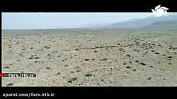 ترانه &quot; گل گرمسیری &quot;...