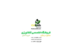 کشت بذر خیار گلخانه ای کاترینا