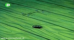 باب اسفنجی قسمت 162 دوبله فارس...