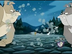 کارتون تام و جری  Tom and Jerr...