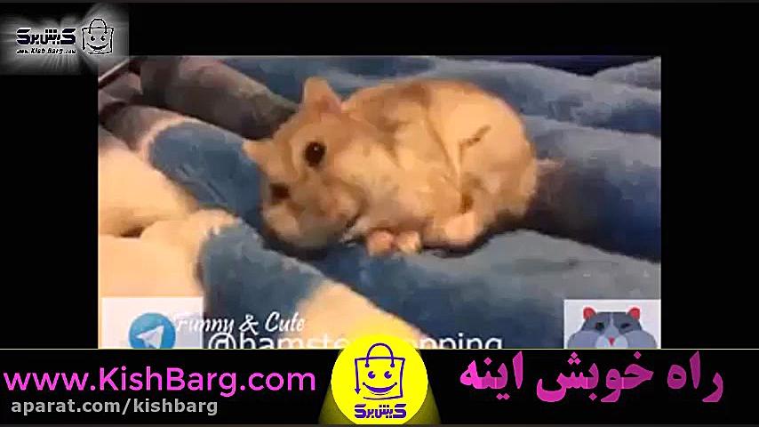 پوستر بزرگ
