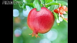 کلیپ کوتاه عاشقانه درباره خدا