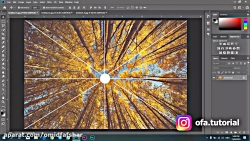 عکاس باش - توضیح کوتاه و عملی پرسپکتیو