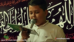 شهادت امام هادی علیه السلام