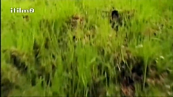 سریال سه در چهار قسمت 6