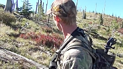 هدشات و شکار خرس سیاه با تفنگ...