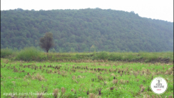 کارما  طبیعت آزاد در چرخه طبیع...