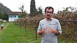 گزارشی از یک باغ هیجان‌انگیز ک...