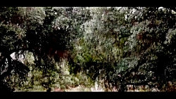 ریمیکس دیدنی از چند ماشین خفن...