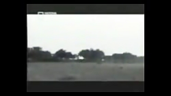 کشتن میمون توسط پلنگ و ....