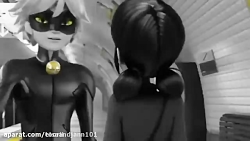 میکس کت نوار ( گربه سیاه)