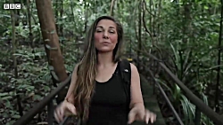 دنیای حیوانات - حیوانات حیات و...