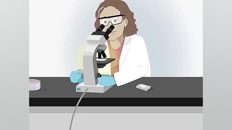 Organoid Technologies in Research ایربسارتان