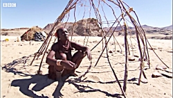 دنیای حیوانات - شکار غزال بزرگ...