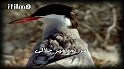 سریال خانه به دوش قسمت 10