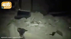 تصاویری از حمله جنگنده های اسر...