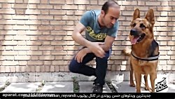 طنز حسن ریوندی و سگش