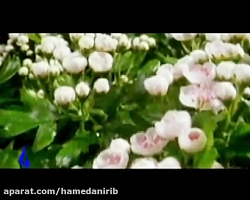 نماهنگ بسیار زیبای &quot;آخرین...