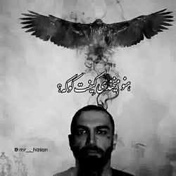 سلام رفیق صدای منو داری