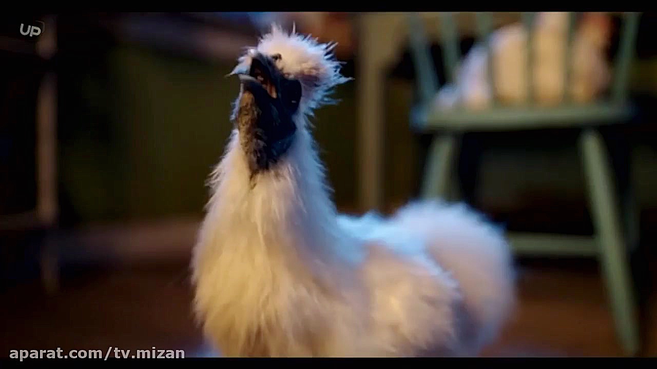 فیلم کمدی « فیندوس گربه ماجراجو - 2014 » دوبله فارسی زمان5291ثانیه