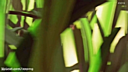 بازی جدید Obsidian با نام Grou...