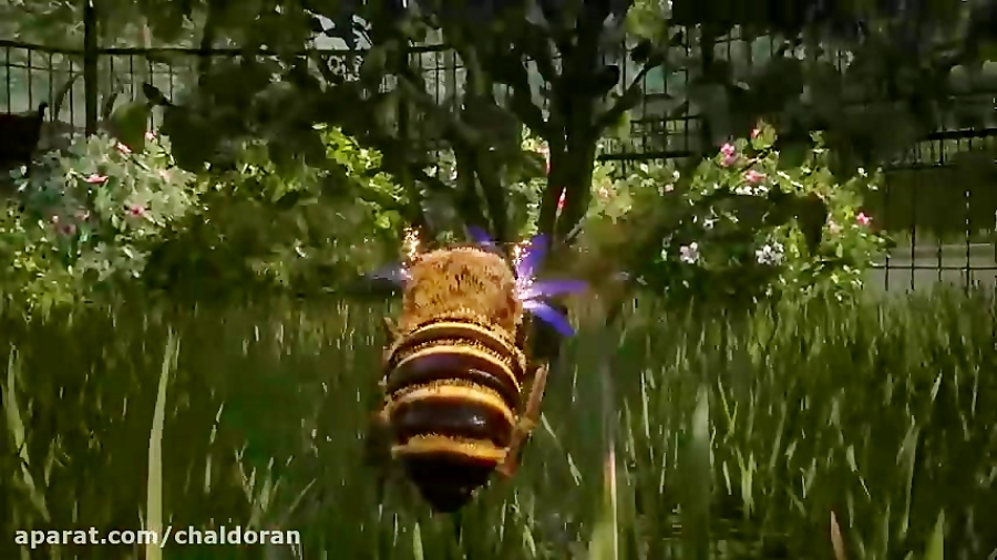 تریلر بازی Bee Simulator