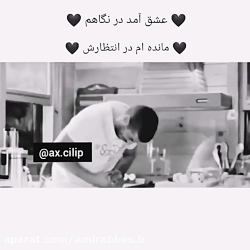 کلیپ دیونه بازی های عاشقانه
