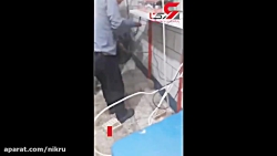 فیلم بیرون کشیدن مار از یک مغا...