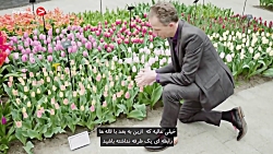 تکنولوژی گوگل برای حرف زدن با...