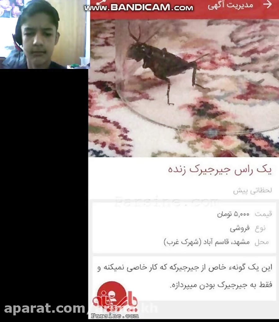 آگهی های طنز دیوار