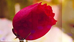 ترانه پاپ عیدانه