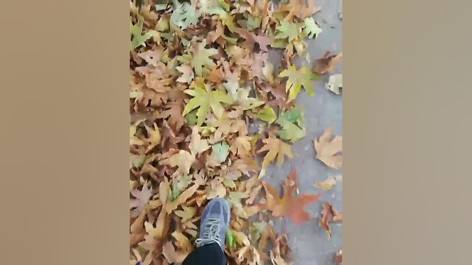 طبیعت استان فارس شهرستان اقلید دکتر احسان مومنی
