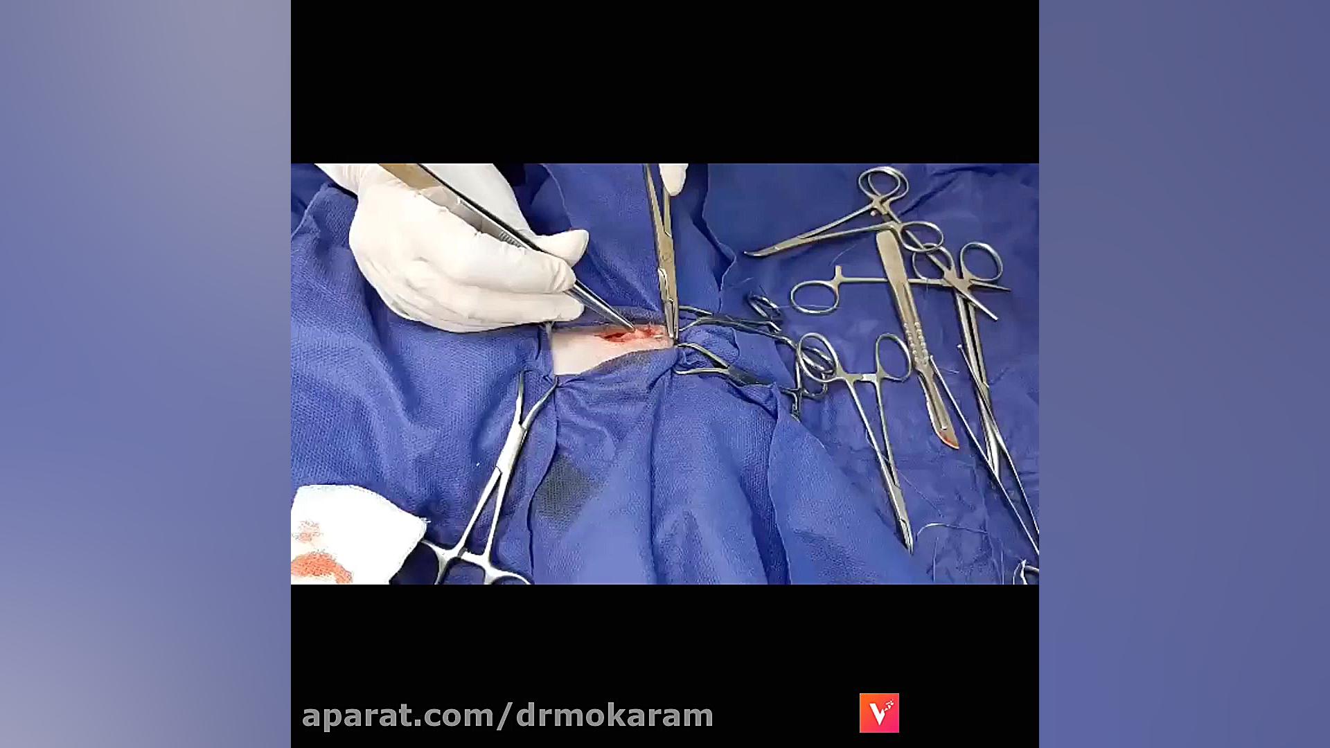 جراحی در کلینیک دامپزشکی دکتر مکرم رادیوگرافی دندان