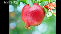 کلیپ کوتاه عاشقانه درباره خدا