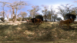 VR VIDEO فیلم واقعیت مجازی