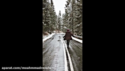 کلیپ عاشقانه...مرتضی پاشایی......