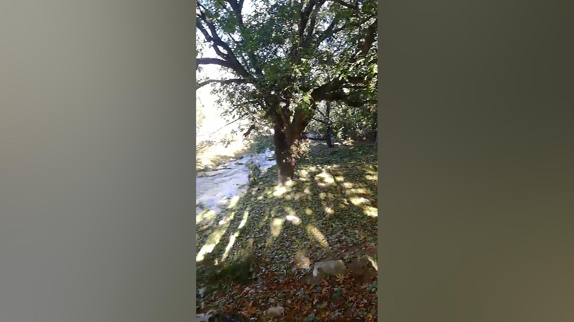 طبیعت زیبای اقلید،خیابان فسارود دکتر احسان مومنی